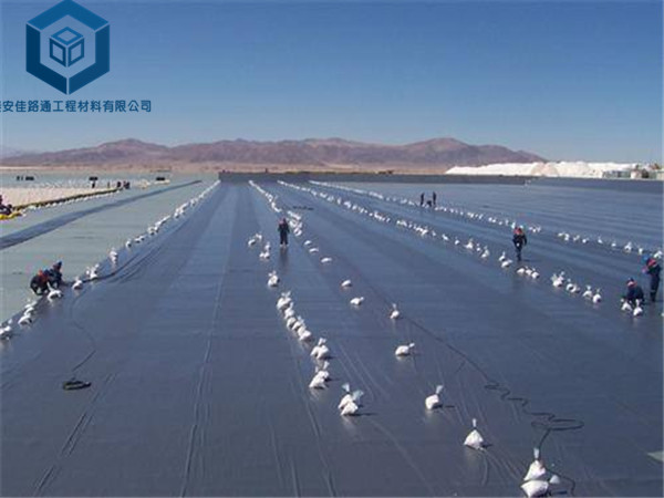 �A�҈����BĤ���������늏S���O����